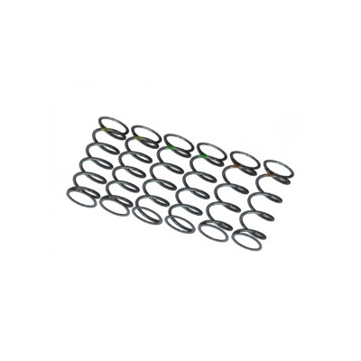 Пружины разной жёсткости 3Racing (#F113-306) Front Spring Set For F113