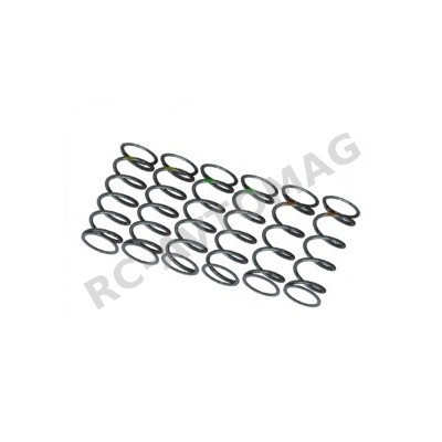 Пружины разной жёсткости 3Racing (#F113-306) Front Spring Set For F113