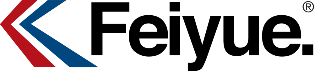 Feiyue
